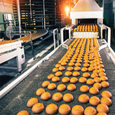 Food Industries