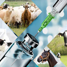 Veterinary Industries